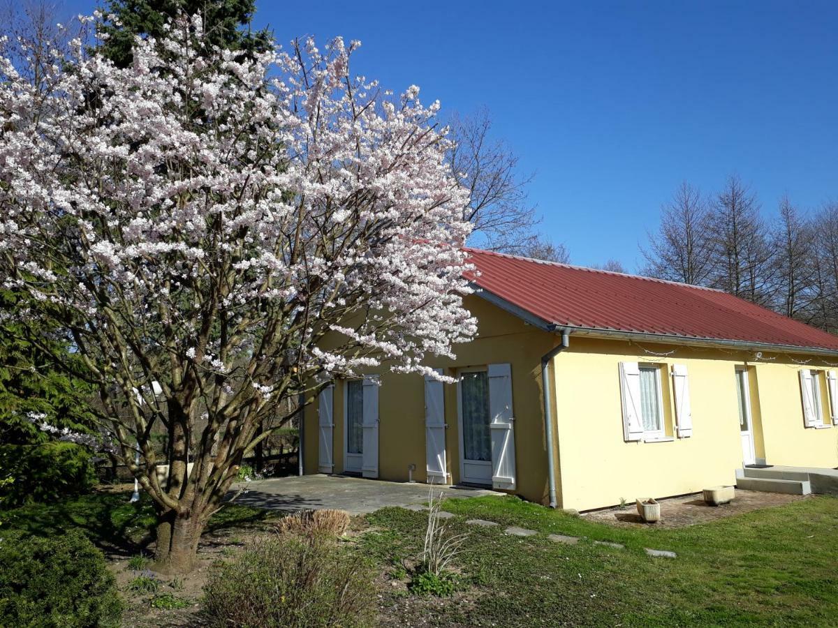 Maison De Manon Illhaeusern Buitenkant foto